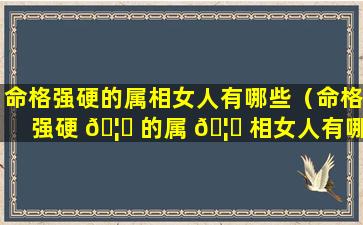 命格强硬的属相女人有哪些（命格强硬 🦍 的属 🦅 相女人有哪些特征）